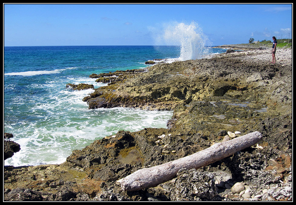 30 The Blowhole